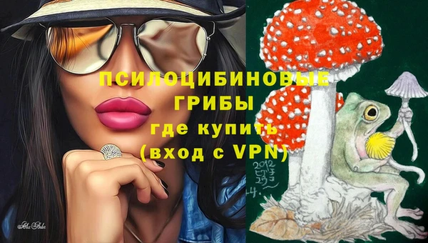 apvp Бронницы