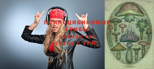 apvp Бронницы