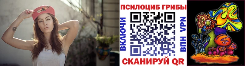 Псилоцибиновые грибы мицелий мориарти наркотические препараты Ядрин хочу